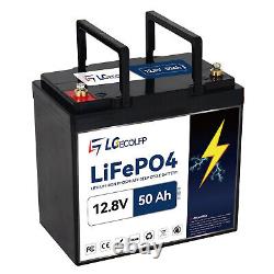 LGECOLFP 12V 100Ah LiFePO4 Lithium Battery Rechargeable Iron Phosphate Battery