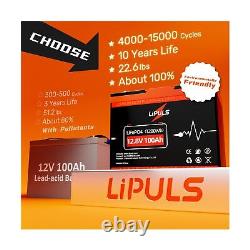 LIPULS 12V 100Ah LiFePO4 Battery, Built-in 100A BMS, Max. 1280Wh Lithium Iron