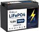Lifepo4 12v 100ah Battery Lithium Group 24 Battery For Rv Marine Solar 100a Bms