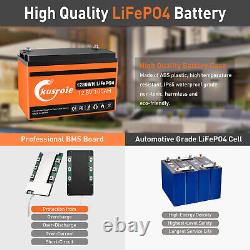 LiFePO4 12V 100Ah Lithium Iron Phosphate Deep Cycle Rechargeable Battery BMS IP6