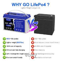 LiFePO4 12.8V 100AH Deep Cycle Lithium Iron Battery for RV Boat Solar Off Grid