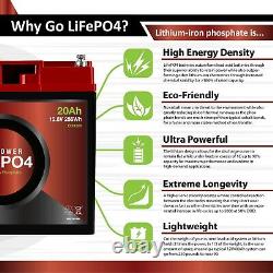 LiFePO4 256WH Solar Charging Kit Lithium Iron Phosphate Battery, 20A Controller