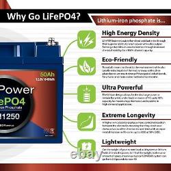 LiFePO4 640WH Solar Charging Kit, Lithium Iron Phosphate Battery, 30A Controller