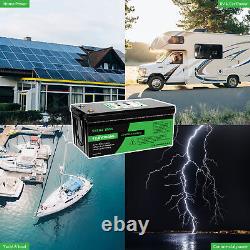 LiFePO4 Battery 12V 300 Ah Lithium Iron Phosphate 100Ah for Camping Boat Solar
