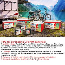 LiFePO4 Lithium Battery 12V 120Ah BMS 10000+cycles for RV Solar Boat Off-grid