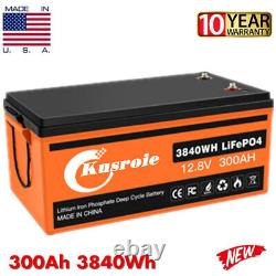 LiFePO4 Lithium Battery 12V 300Ah LiFePO4 3840Wh with BMS for Solar RV Camper OEM