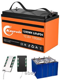LiFePO4 Lithium Portable BMS Battery 12V 50AH 100AH for Camping RV Marine Solar