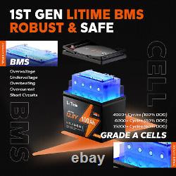 LiTime 12V 100Ah BCI Group 24 LiFePO4 Lithium Battery Built-In 100A BMS 1280Wh