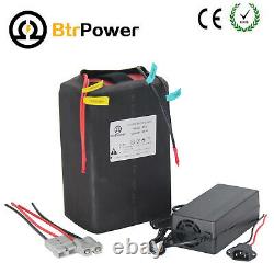 Lifepo4 52V 20Ah Lithium Battery Pack for 1500W Electric Bike Scooter Bicycle