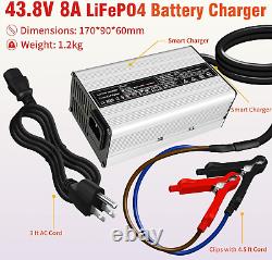 Lithium Battery Charger 48V, 58.4V 8A Lifepo4 Charger for 48 Volts Lithium Iron