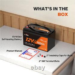 Litime 12V 100Ah Self Heating LiFePO4 Lithium Battery Low Temperature Protection