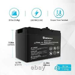 RENOGY 12V 100Ah LiFePO4 Smart Lithium Iron Phosphate Battery With Self-Heating