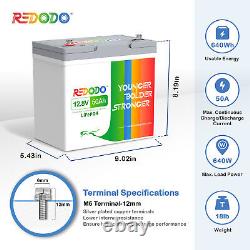 Redodo 12V 100Ah 200Ah 300Ah Lithium Battery Deep Cycle LiFePO4 for RV LOT