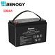 Renogy 100ah 200ah 12v Lifepo4 Lithium Iron Battery With Built-in Bluetooth Bms Rv