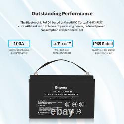 Renogy 12V 100Ah LiFePO4 Lithium Iron Battery With Built-in Bluetooth IP65 BMS