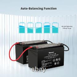 Renogy 12V 100Ah LiFePO4 Smart Lithium Iron Battery With Built-in Bluetooth IP65