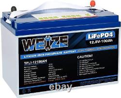 WEIZE Lithium 100Ah LiFePO4 Battery with Self-Heating Function Up to 8000 Cycles