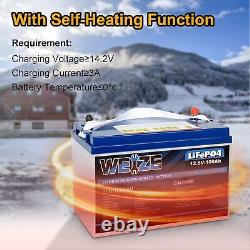 WEIZE Lithium 100Ah LiFePO4 Battery with Self-Heating Function Up to 8000 Cycles