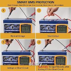 WEIZE Lithium 100Ah LiFePO4 Battery with Self-Heating Function Up to 8000 Cycles